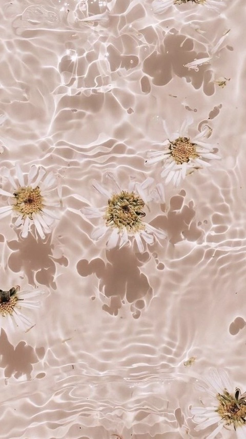 shadyydaisyy header picture leakfans.com