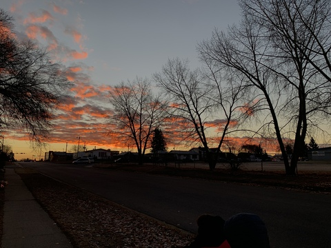 shanelleeexo header picture leakfans.com