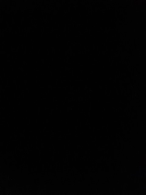 shannon1993 header picture leakfans.com