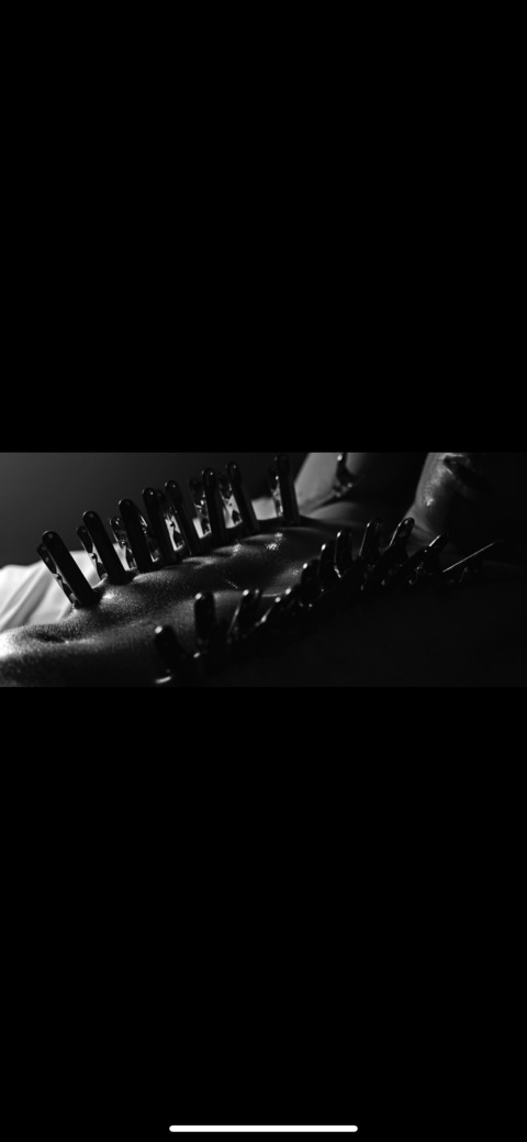 sharkbaitzac header picture leakfans.com