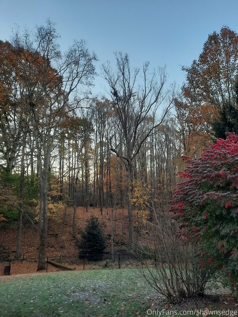 shawnsedged header picture leakfans.com