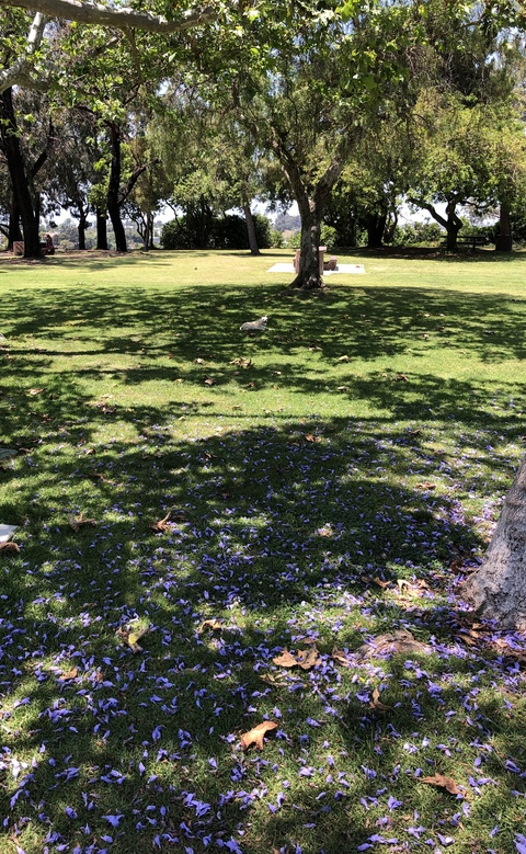 shayna0007 header picture leakfans.com