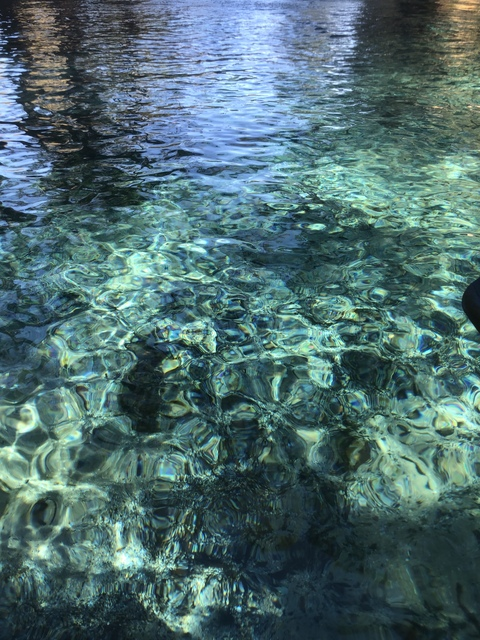 shedoeswhatshewants header picture leakfans.com