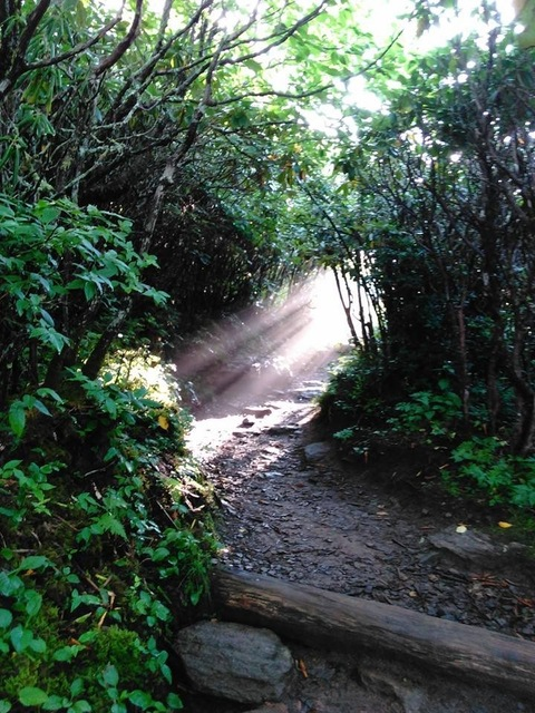 sheild_maidenn header picture leakfans.com