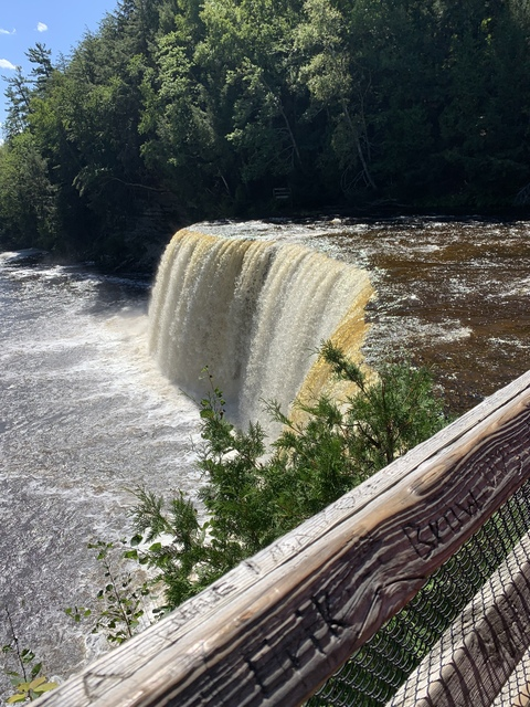 shelbyr header picture leakfans.com