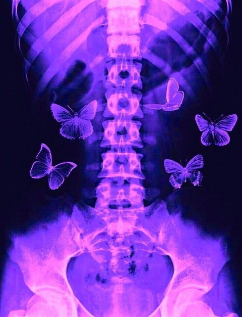 shesvixenn header picture leakfans.com