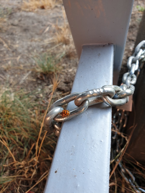 shithappens header picture leakfans.com