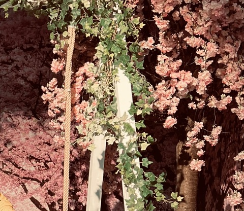 shorteaa header picture leakfans.com