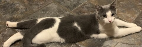 shortnsweetgal1 header picture leakfans.com