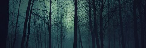 shows header picture leakfans.com