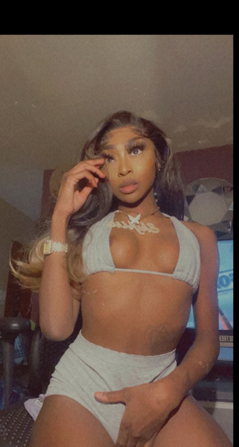 shylapalace header picture leakfans.com