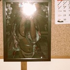 shynae profile picture leakfans.com