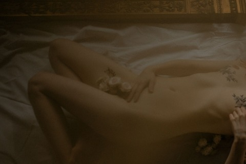 sibileandflowers header picture leakfans.com