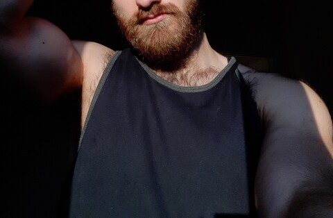 siboull header picture leakfans.com