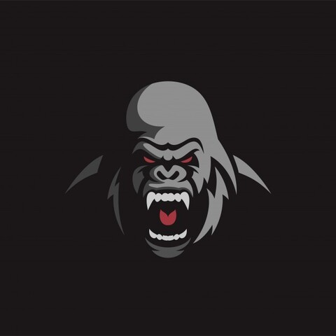 Header of silverback.picks