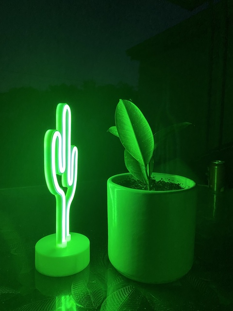 silvercowgirl header picture leakfans.com