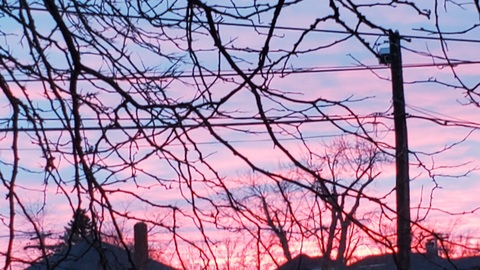 simplydabqueenfree header picture leakfans.com