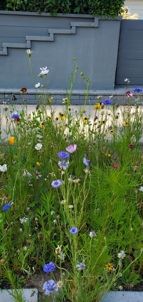 sinnycinn header picture leakfans.com