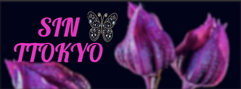 Header of sinttokyo