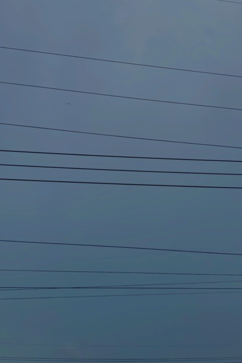 sisia header picture leakfans.com