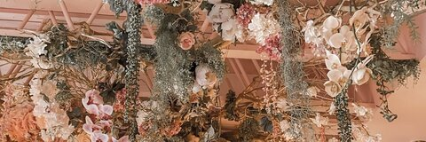 skyangel header picture leakfans.com