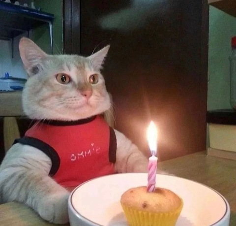 skyewrld header picture leakfans.com