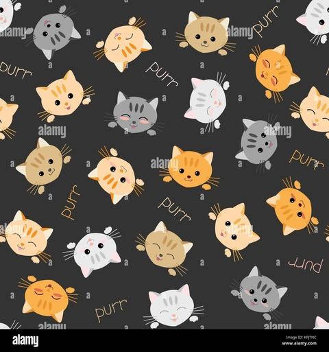 skykitten22 header picture leakfans.com