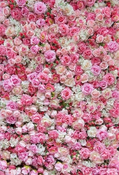 skyleefae header picture leakfans.com