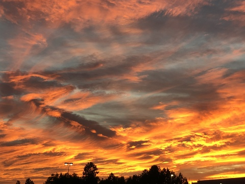 slappyxxpickle header picture leakfans.com