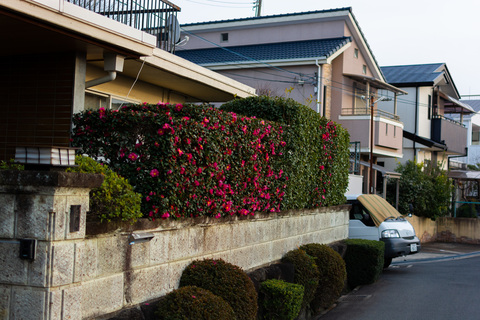 sleepmark header picture leakfans.com