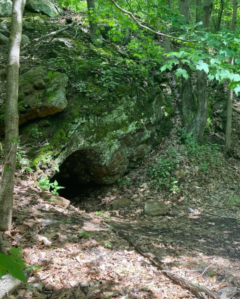 sleeposeve header picture leakfans.com