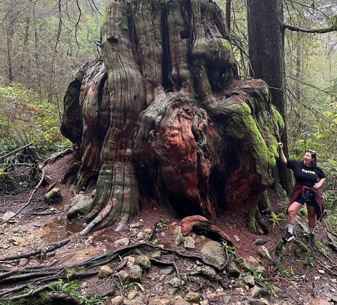 Header of slice_of_salami