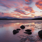 slick_dick2020 profile picture leakfans.com