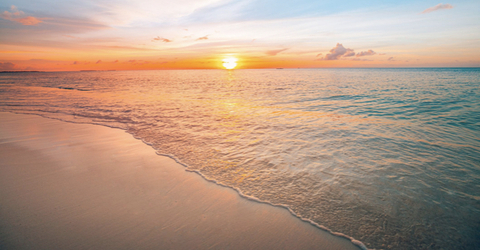 slick_dick2020 header picture leakfans.com