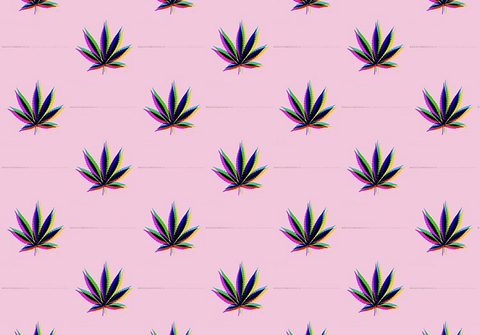 slimthickbabey header picture leakfans.com