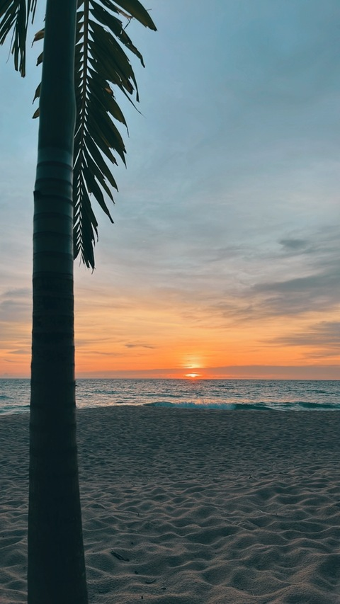 smallbearr header picture leakfans.com