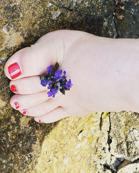 Header of smallchubbyfeet