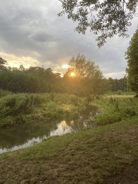 smallginger header picture leakfans.com