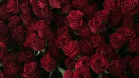 smill19 header picture leakfans.com