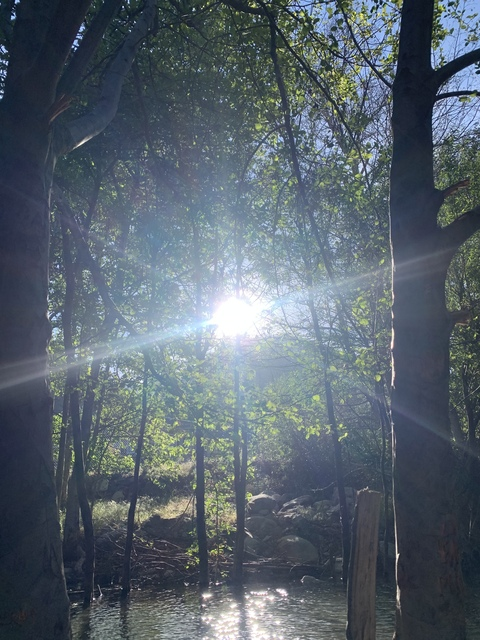 smokingscorpio header picture leakfans.com