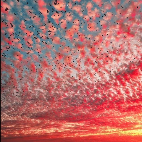 snixxxxx header picture leakfans.com