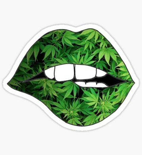 snoopkitten420 header picture leakfans.com