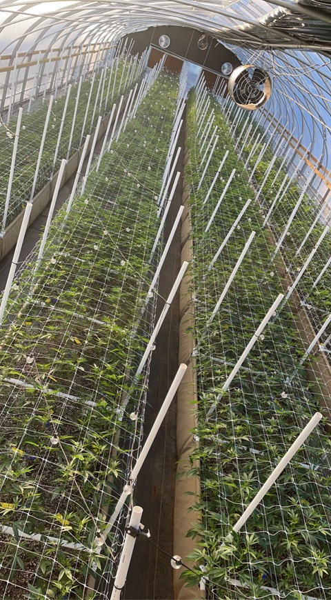 snoopy666 header picture leakfans.com