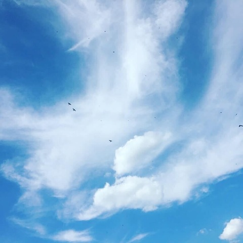 snowangel24 header picture leakfans.com