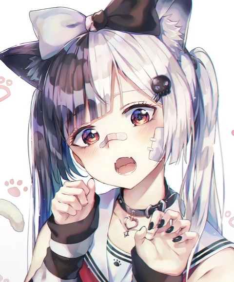 snowraven666 header picture leakfans.com