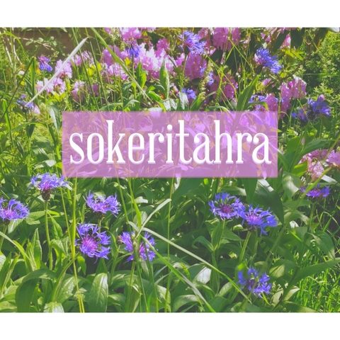 sokeritahra header picture leakfans.com