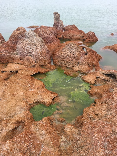 sol.afrania header picture leakfans.com