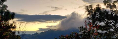 somali header picture leakfans.com