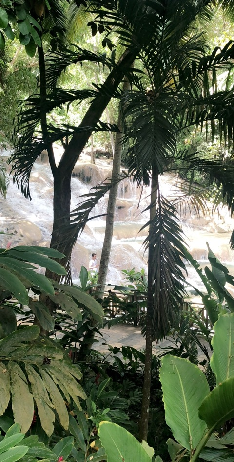 somebodison header picture leakfans.com