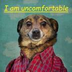 somerandom profile picture leakfans.com